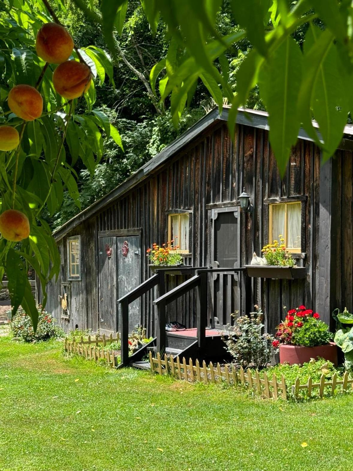 The Renovated Barn At Seneca Rocks 빌라 외부 사진