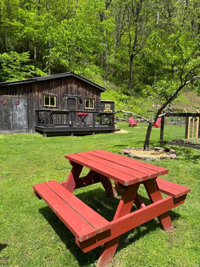 The Renovated Barn At Seneca Rocks 빌라 외부 사진
