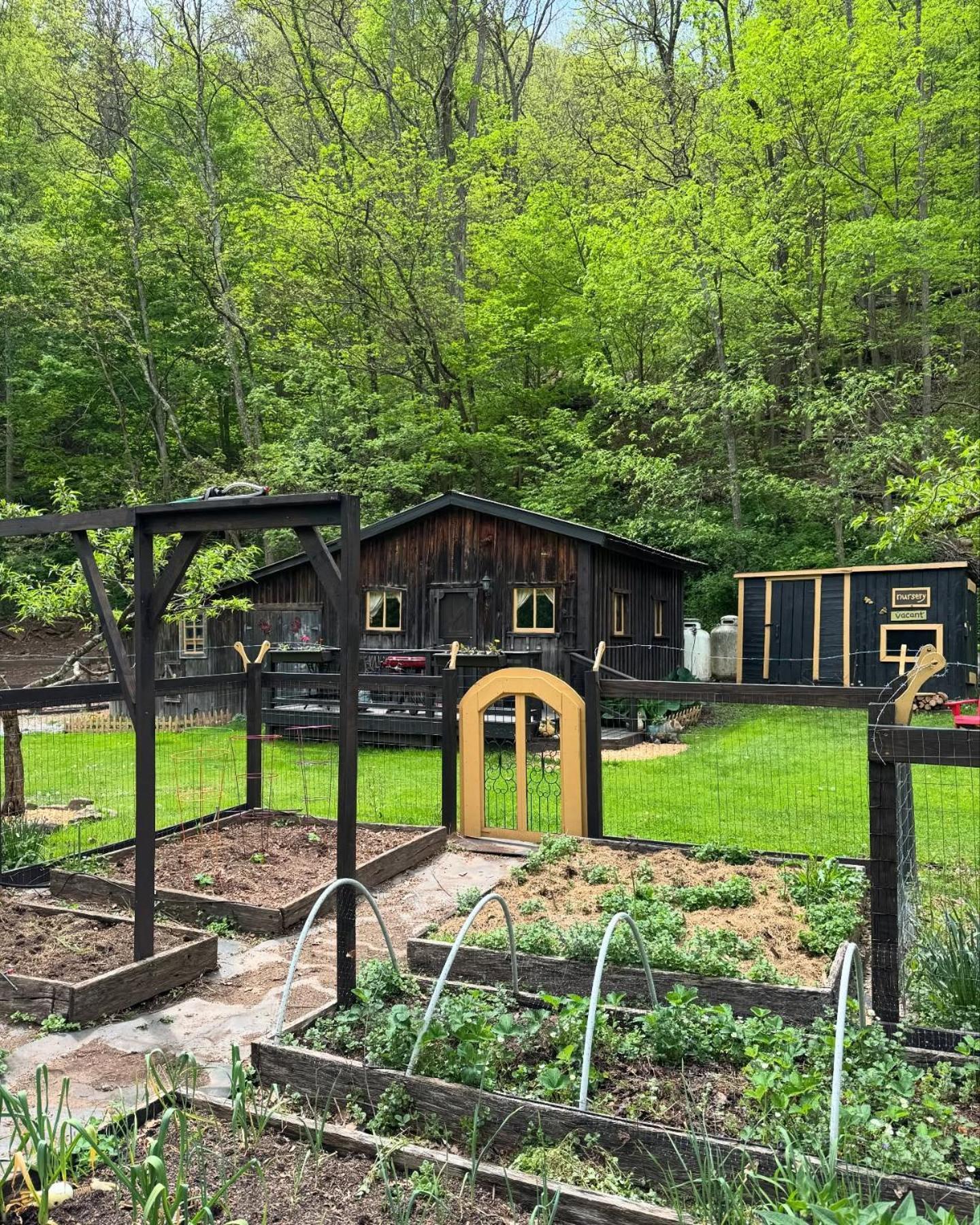 The Renovated Barn At Seneca Rocks 빌라 외부 사진